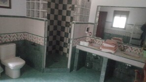 Shower, bidet, towels, soap