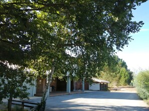 Udendørsområde