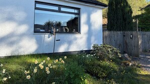 Ein weißes Gebäude mit einem Fenster, umgeben von Grünpflanzen und einem Holzzaun.