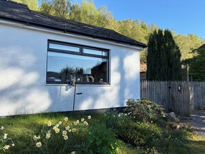 Ein weißes Gebäude mit einem Fenster, umgeben von Grünpflanzen und einem Holzzaun.