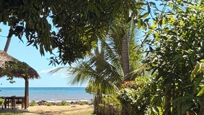 Un entorno de playa con una estructura de techo de paja, palmeras y un camino de arena que lleva al océano.