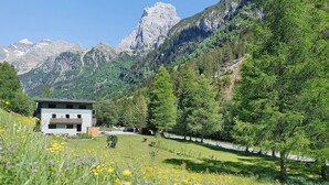 A modern building with a flat roof, surrounded by a lush green landscape and mountains in the background. - Family Apartment Nature House Bamboo – Lightness & Comfort with Mountain Views (Brennero)