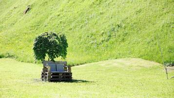 Eine hölzerne Bank in einem grasbewachsen Feld mit einem Baum.