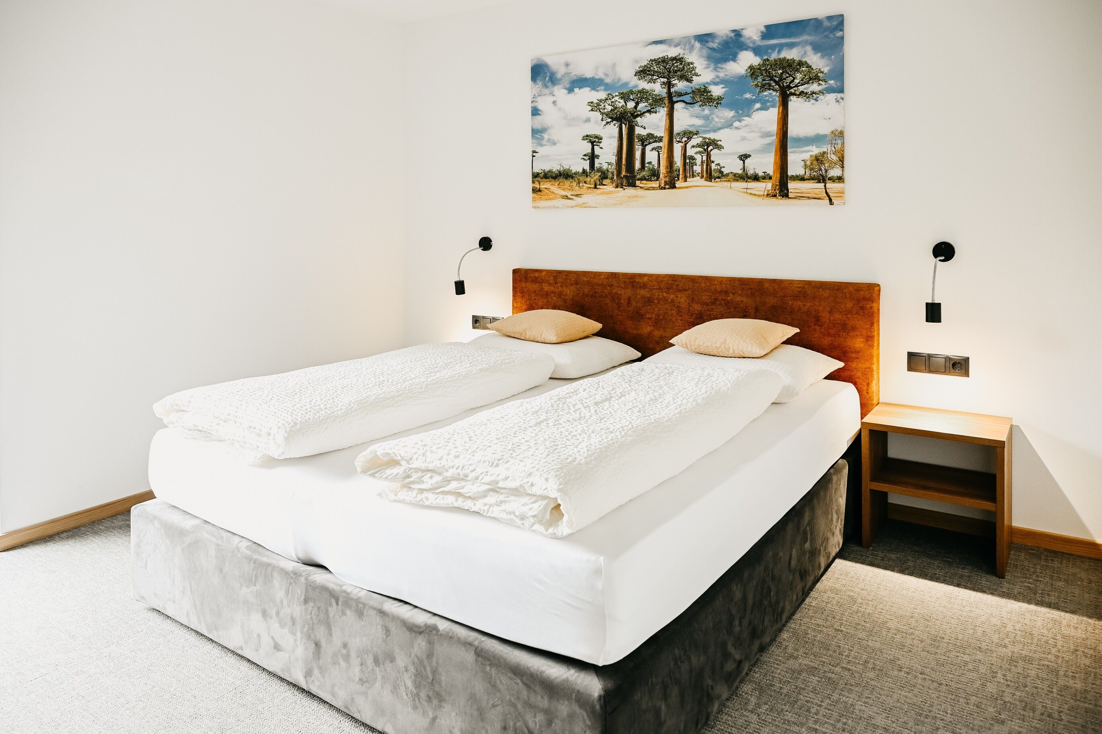 WiFi, bed sheets