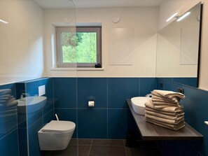 Dusche, Haartrockner, Handtücher
