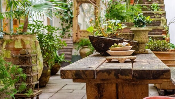 Un entorno rústico al aire libre con una mesa de madera, plantas en macetas y un banco de piedra.