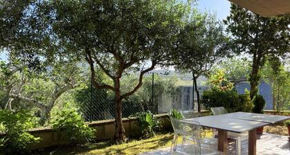 C018 – Camerano, three-room apartment with garden and parking