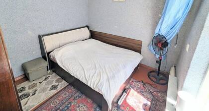 Cozy 2-Bedroom Apartment with Private Courtyard in Tashkent