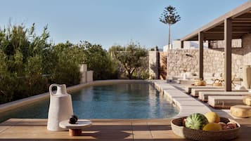 Seasonal outdoor pool, pool umbrellas, sun loungers