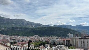 A cityscape with a view of mountains, buildings, and a tiled roof.