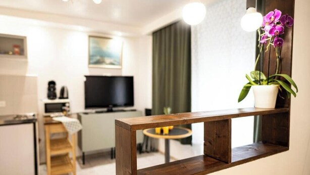 A modern kitchen with a TV, a wooden table, and a potted orchid. - Mega Cool apartment between France and Switzerland - near Basel (Saint-Louis)