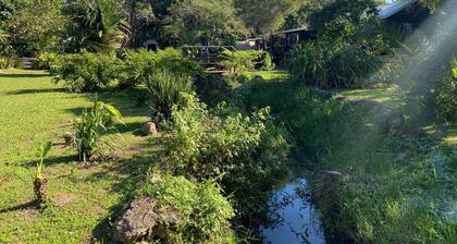 Little Creek Cabins