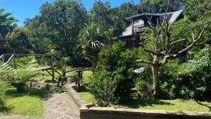 A pathway leading to a building surrounded by lush greenery and a small tree. - Little Creek Cabins (Port Edward)