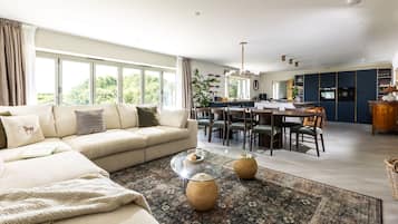 Smart TV, fireplace, video games, DVD player