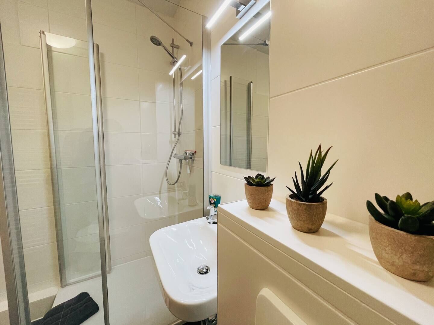 Apartment, 1 Queen-Bett und Schlafsofa, Nichtraucher, Küche | Badezimmer | Haartrockner, Handtücher