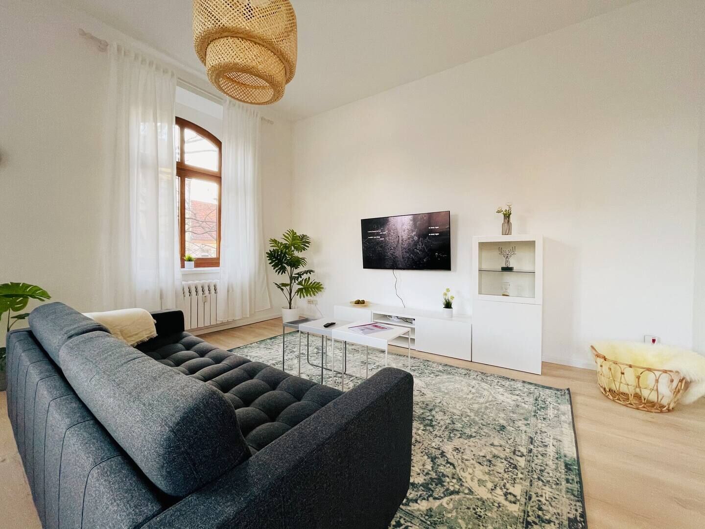 A modern living room with a sofa, a coffee table, a TV, and a plant.