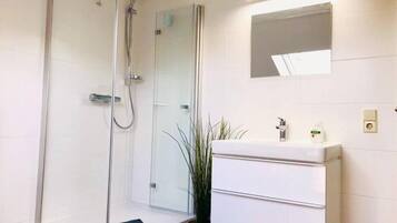 A modern bathroom with a glass shower enclosure, a white sink, and a mirror above it.