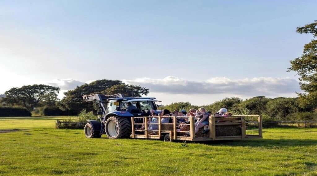 Un tracteur tirant une charrette en bois sur laquelle sont assis des gens, dans un champ herbeux.