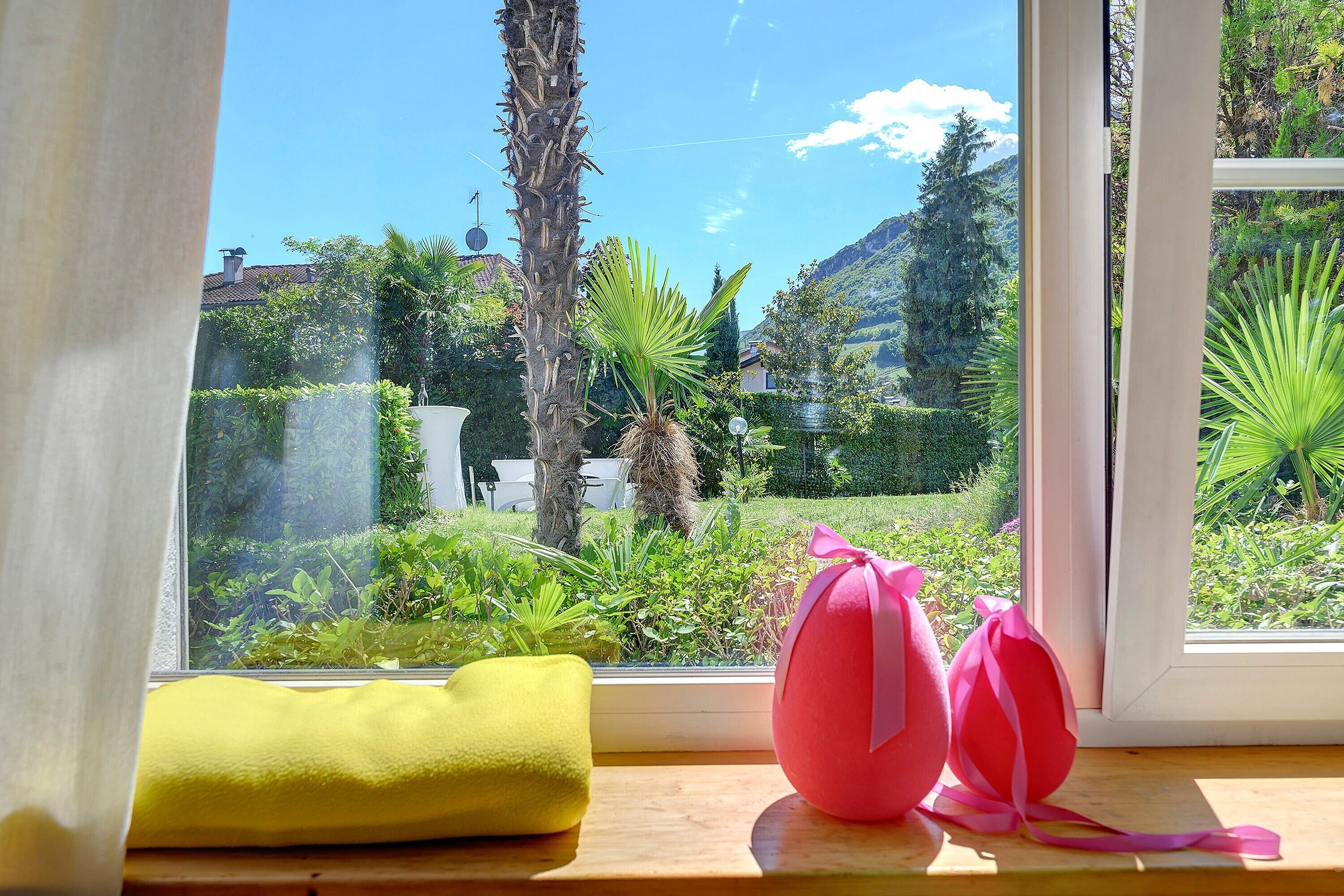 A window with a view of a garden, a palm tree, and a building in the background.