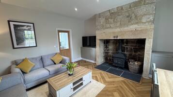 Una Smart TV, una chimenea