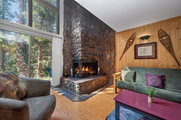 TV, fireplace