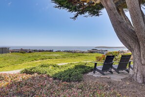Interior - Dog-friendly Haven w/ Stunning Views in Bodega Bay (Bodega Bay)