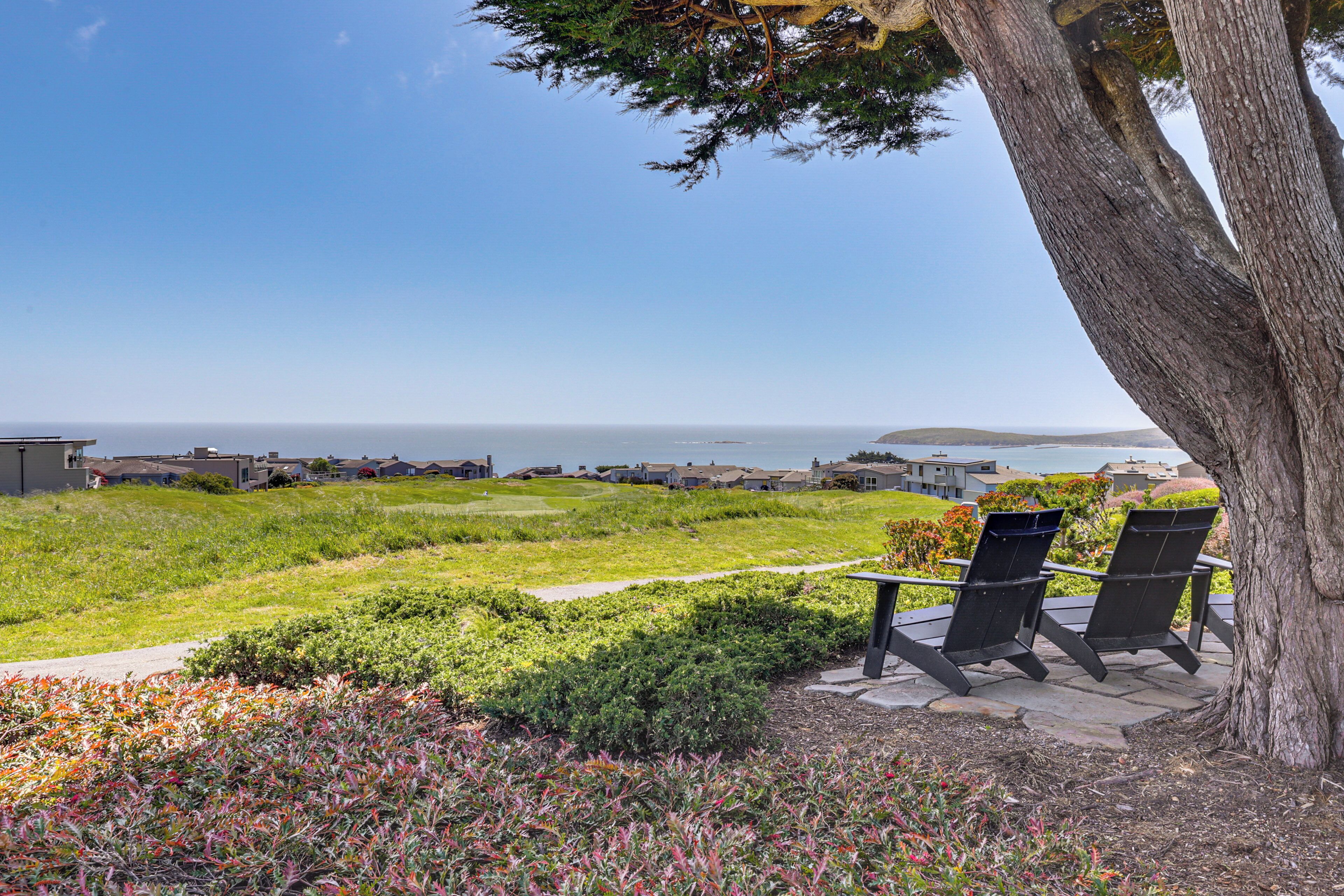 A grassy area with a pathway, two chairs, and a tree.