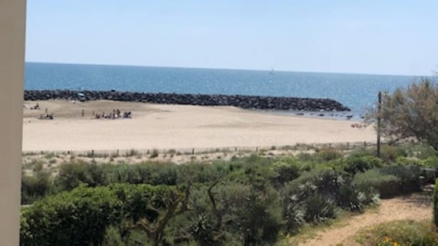 En strand med utsikt över en vågbrytare av sten, en sandstrand och tät vegetation.