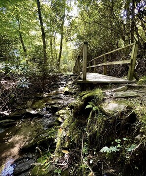 Property grounds - Beech Mt Pet Friendly Cabin - Trails + Fire Pit! (Beech Mountain)