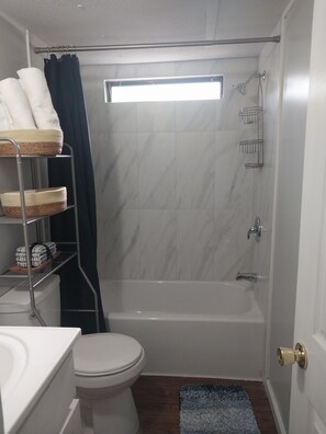 Shower, towels, toilet paper
