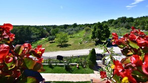 A view of a green landscape with a fence and trees. - Countryside Oasis in Valica (Umag)