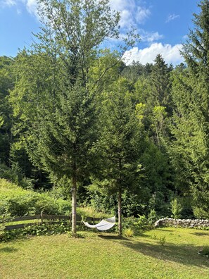 Property grounds - Haven of peace in the foothills of the Alps - private & comfortable (Waldegg)