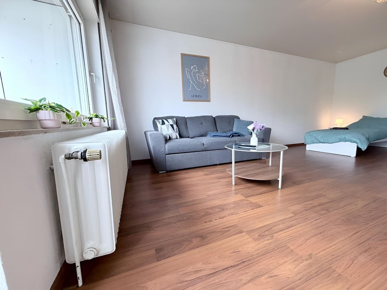 Un salon avec un canapé gris, une petite table basse ronde, un radiateur et une fenêtre ornée de plantes.