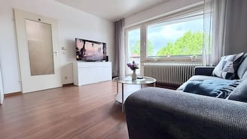 Fernseher