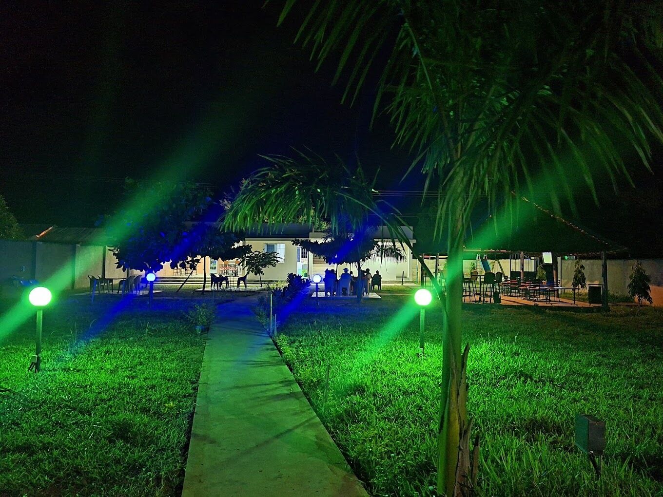 Garden