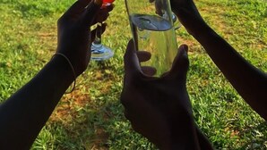 Two people toasting with wine glasses on a grassy lawn with a modern building in the background. - Le Grande Haven Shimoni (Kanana)