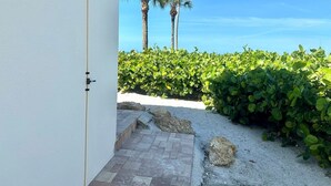 Una entrada que da a un área pavimentada, con una palmera y un seto al fondo.
