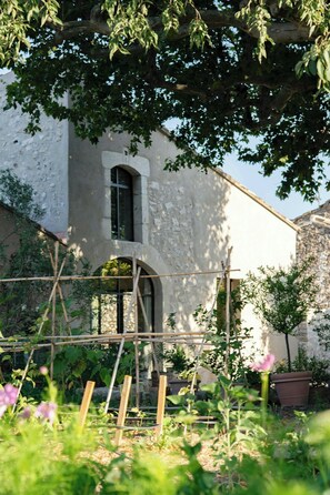 Property grounds - Artist's stable with garden near Alpilles (Mollégès)