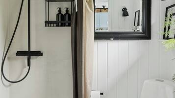 A bathroom with a shower, toilet, and a mirror.
