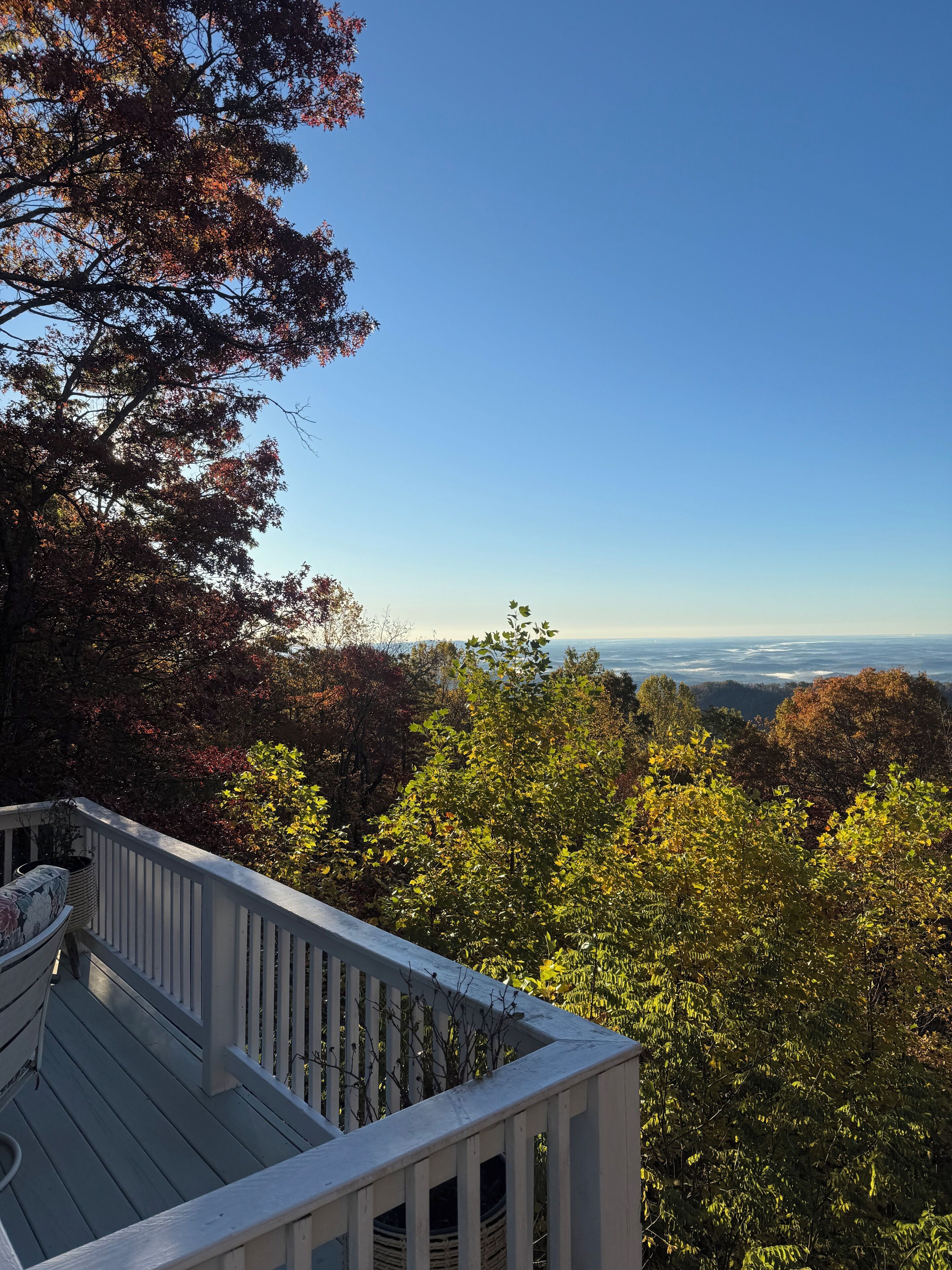 A deck with a railing overlooking a forested landscape.