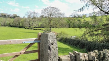 A rural landscape with a stone wall and a wooden gate.