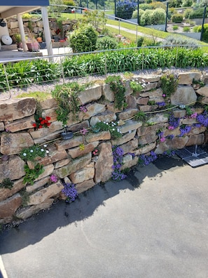 A stone wall with various plants and flowers. - STUDIO sea and cape view 2pers. (Erquy)