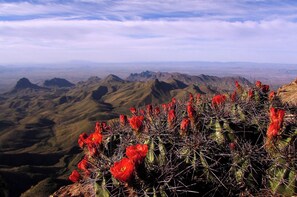 Miscellaneous - Chisos Mountain Lodge (Big Bend National Park)