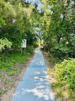 A paved walkway surrounded by dense greenery, leading to a signpost.