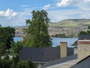 A residential area with houses, a large tree, and a body of water in the background.