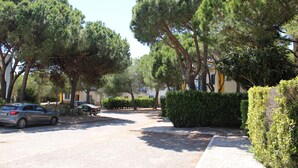 Une rue résidentielle bordée de voitures garées, d’arbres et d’une haie.