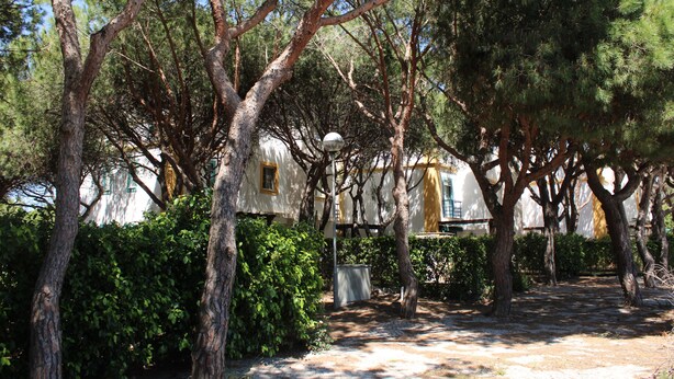 Un sentier bordé d’arbres mène à un bâtiment dont la porte est jaune.