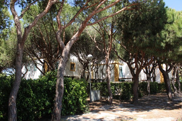 A pathway surrounded by trees leading to a building with a yellow door. - Real Village (Faro)