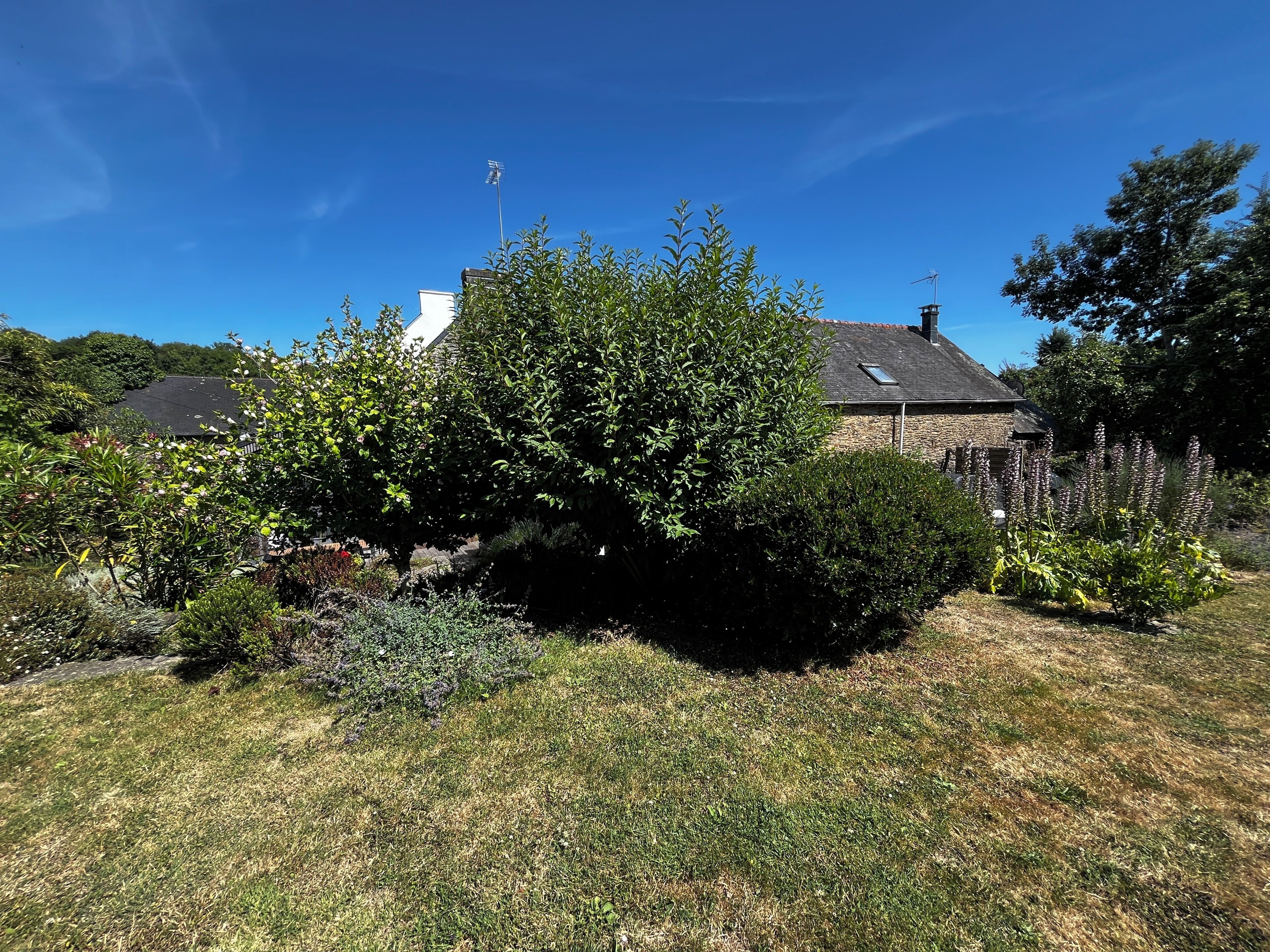 A garden with a variety of plants and a stone building with a sloped roof.