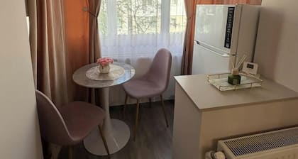Sofia Apartment 1-bedroom apartment in amazing Galați